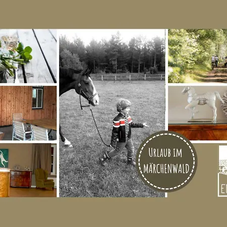 Emmahus Furstenau (Lower Saxony)