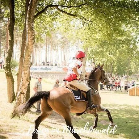 Emmahus アパート Fürstenau