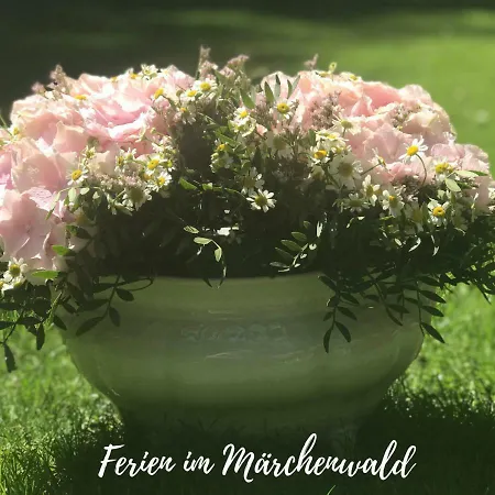 Apartamento Emmahus *